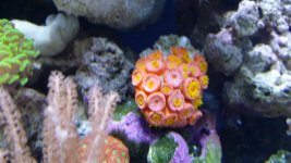 20140819_154825.jpg