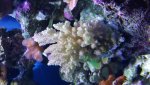 20141018_140501.jpg