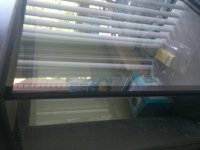 IMG_1089.jpg