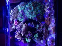 IMG_0019.jpg