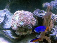 IMG_0078.jpg
