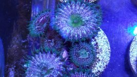 20140627_100253.jpg
