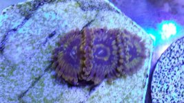 20140627_100343.jpg