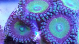 20140627_100353.jpg