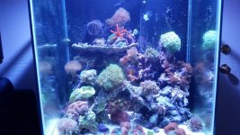 20150628_201428.jpg