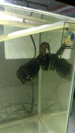 IMG_20150519_225638075.jpg