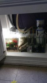 unnamed (2).jpg