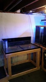 20150319_180156.jpg