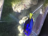 IMG_1618 2.jpg