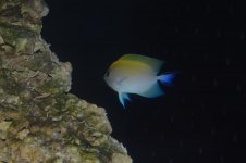DSC_0034.jpg