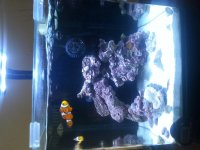 20150320_153558.jpg