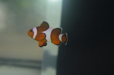 DSC_0036.jpg