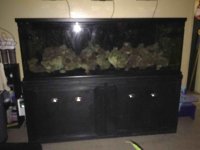 ImageUploadedByReefs2015-09-20 17:46:32 EDT.jpg