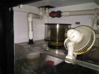 ImageUploadedByReefs2015-09-20 17:47:07 EDT.jpg