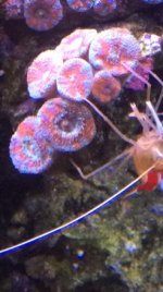 IMG_5923.jpg