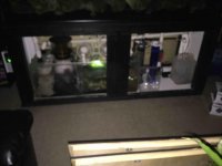 ImageUploadedByReefs2015-09-20 17:47:40 EDT.jpg