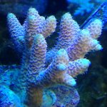 IMG_1432.jpg