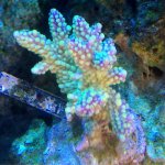 IMG_1435.jpg