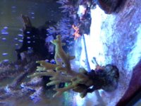 IMG_8617.JPG