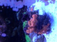 IMG_8621.JPG