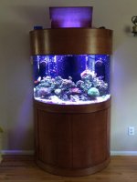 IMG_3438.jpg IMG_3438.jpg