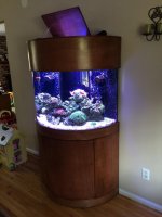 IMG_3439.jpg IMG_3439.jpg