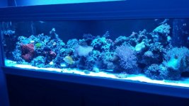 20150225_200659.jpg
