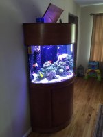 IMG_3440.jpg IMG_3440.jpg