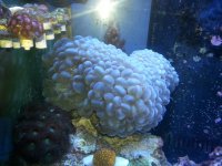 20150131_150320.jpg