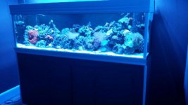 20150225_200717.jpg