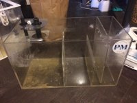 IMG_4990.jpg IMG_4990.jpg