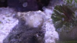 20150117_201859.jpg