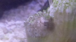 20150117_201947.jpg