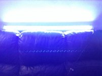 IMG_1770.jpg