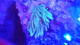 20151117_222402.jpg