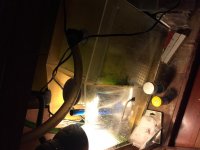 IMG_0705.jpg