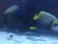 IMG_3879.jpg