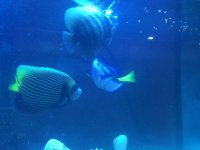 IMG_3883.jpg