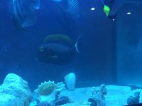IMG_3885.jpg