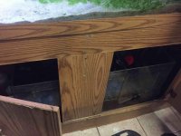 ImageUploadedByReefs2015-09-22 09:00:24 EDT.jpg