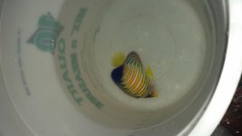 20141107_200917.jpg