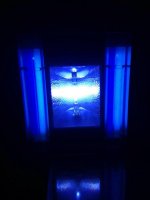 Metal Halide1.jpg