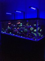 2015-02-28 22.11.09.jpg