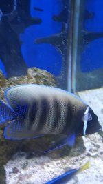 20151116_145751.jpg