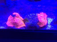 IMG_3896.jpg