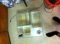 Sump 2.jpg