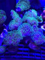 IMG_3897.jpg
