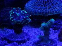20150228_114429.jpg