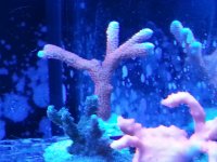 20150301_134836.jpg