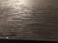 ImageUploadedByReefs2015-04-20 21:33:30 EDT.jpg